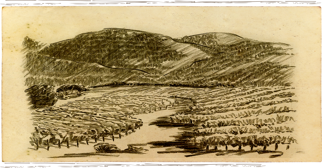 Sketch of Anakota Estate Knights Valley Lake Reservoir